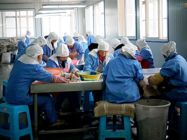 萬(wàn)力貿(mào)易車間實(shí)景