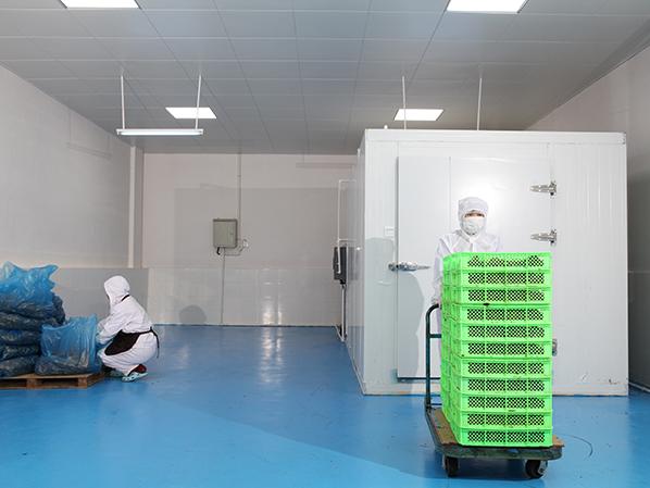 萬(wàn)力貿(mào)易糖廠車間